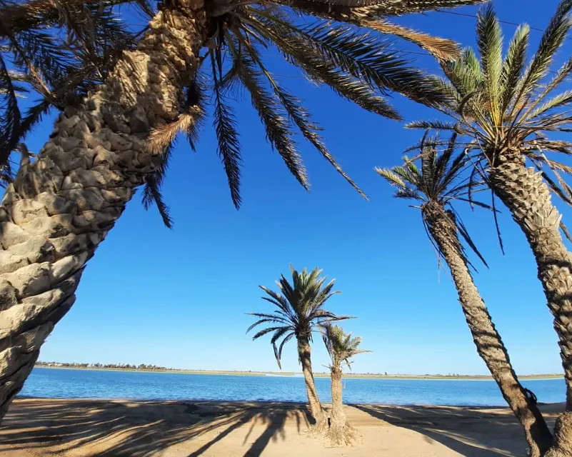 Najpiękniejsze plaże na Djerbie - La Seguia